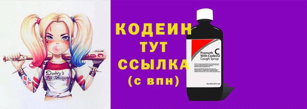 стафф Няндома