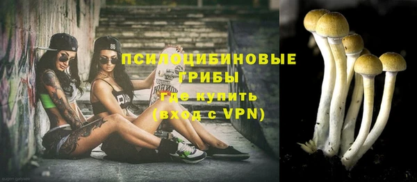 стафф Няндома