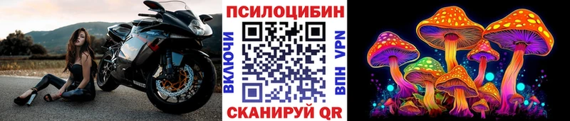 где купить наркоту  Горячеводский  кракен маркетплейс  Псилоцибиновые грибы мицелий 